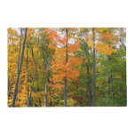 Fall Maple Trees Autumn Nature Photography Placemat