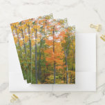 Fall Maple Trees Autumn Nature Photography Pocket Folder