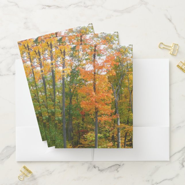 Fall Maple Trees Autumn Nature Photography Pocket Folder (In Situ)