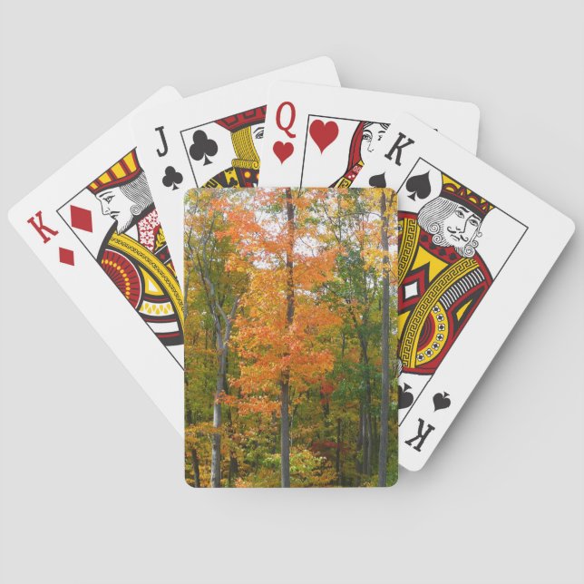 Fall Maple Trees Autumn Nature Photography Poker Cards (Back)