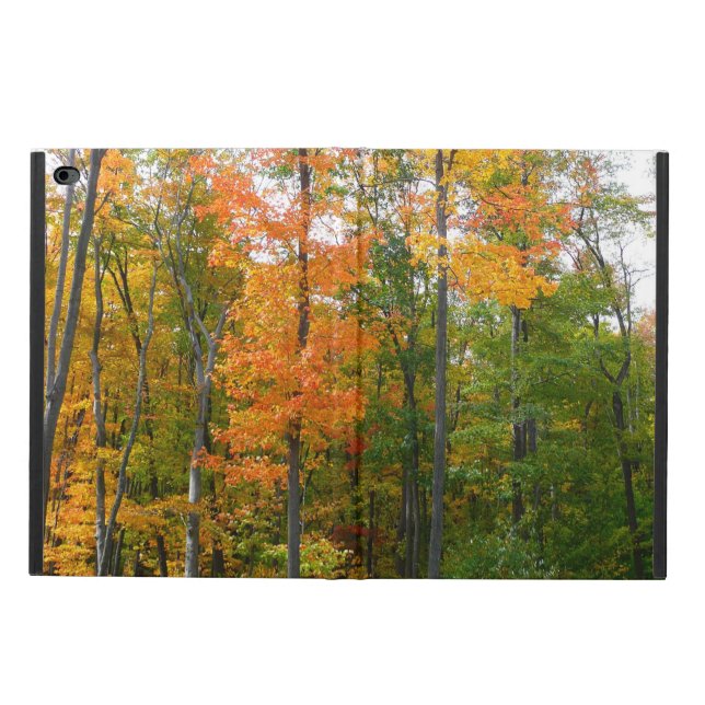 Fall Maple Trees Autumn Nature Photography Powis iPad Air 2 Case (Outside)