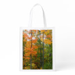 Fall Maple Trees Autumn Nature Photography Reusable Grocery Bag