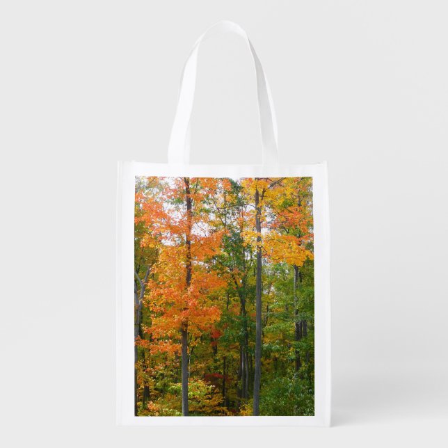 Fall Maple Trees Autumn Nature Photography Reusable Grocery Bag (Front)
