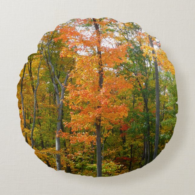 Fall Maple Trees Autumn Nature Photography Round Pillow (Front)