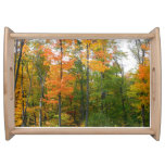 Fall Maple Trees Autumn Nature Photography Serving Tray
