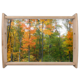 Fall Maple Trees Autumn Nature Photography Serving Tray