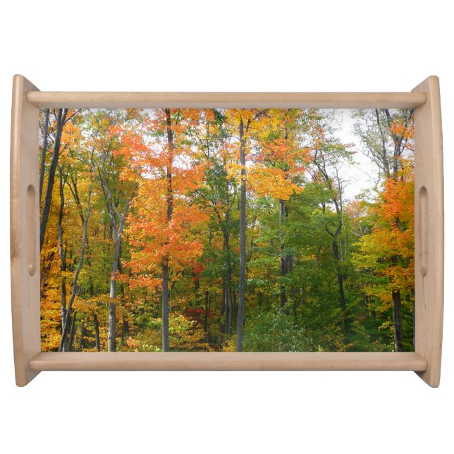 Fall Maple Trees Autumn Nature Photography Serving Tray (Front)