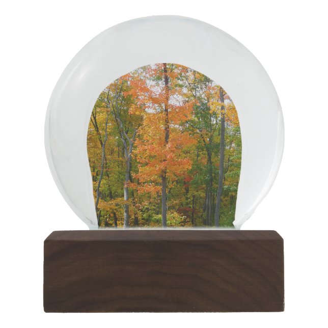 Fall Maple Trees Autumn Nature Photography Snow Globe (Front)