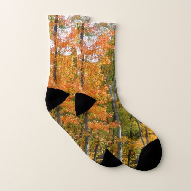 Fall Maple Trees Autumn Nature Photography Socks (Pair)