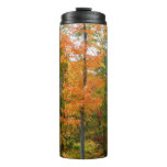 Fall Maple Trees Autumn Nature Photography Thermal Tumbler