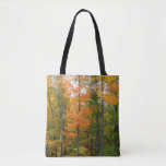 Fall Maple Trees Autumn Nature Photography Tote Bag