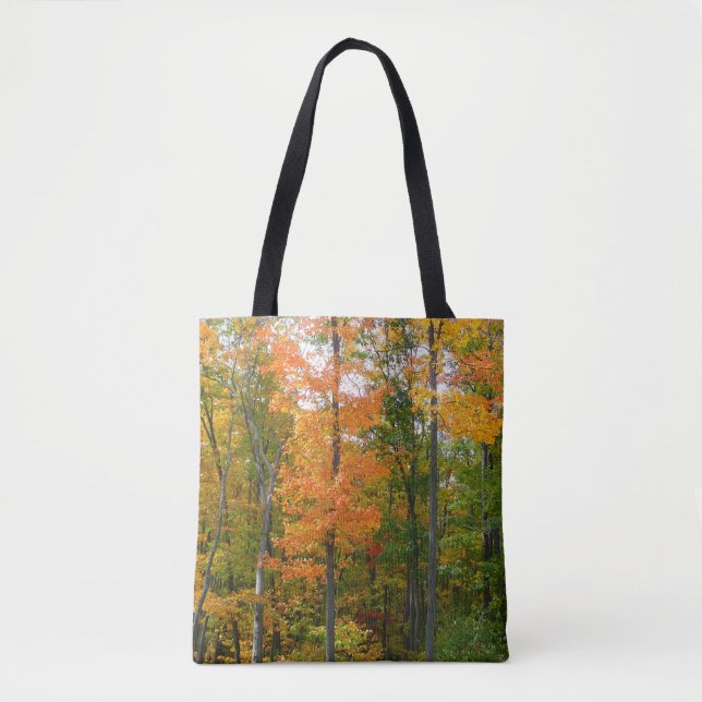Fall Maple Trees Autumn Nature Photography Tote Bag (Front)