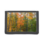 Fall Maple Trees Autumn Nature Photography Trifold Wallet
