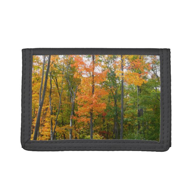 Fall Maple Trees Autumn Nature Photography Trifold Wallet (Front)