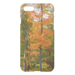 Fall Maple Trees Autumn Nature Photography iPhone SE/8/7 Case