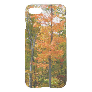 Fall Maple Trees Autumn Nature Photography iPhone SE/8/7 Case
