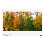 Fall Maple Trees Autumn Nature Photography Wall Sticker