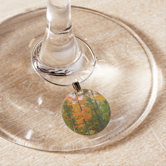 Fall Maple Trees Autumn Nature Photography Wine Glass Charm (In Situ)
