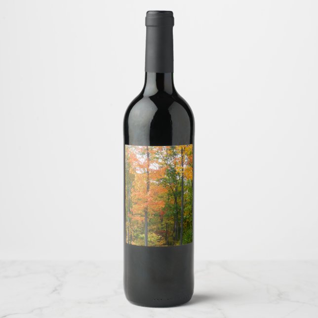 Fall Maple Trees Autumn Nature Photography Wine Label (Front)