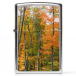 Fall Maple Trees Autumn Nature Photography Zippo Lighter