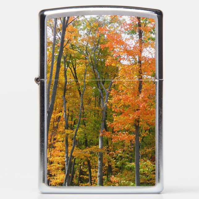 Fall Maple Trees Autumn Nature Photography Zippo Lighter (Front)