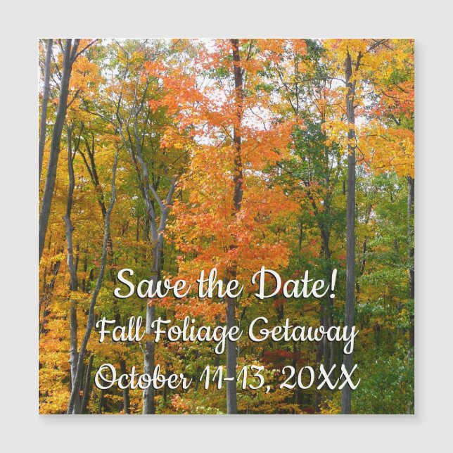 Fall Maple Trees Autumn Nature Save the Date (Front)