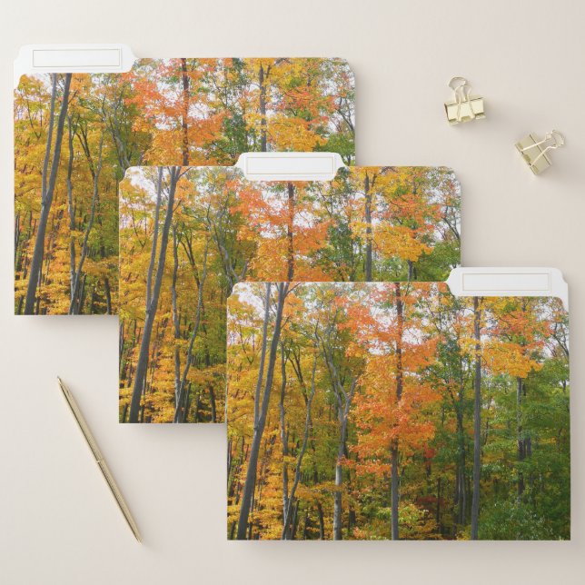 Fall Maple Trees File Folder (Set)