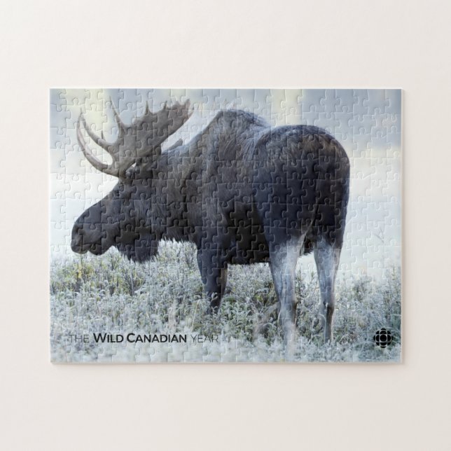 Fall - Moose Jigsaw Puzzle (Horizontal)