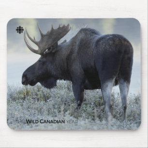 Fall - Moose Mouse Pad