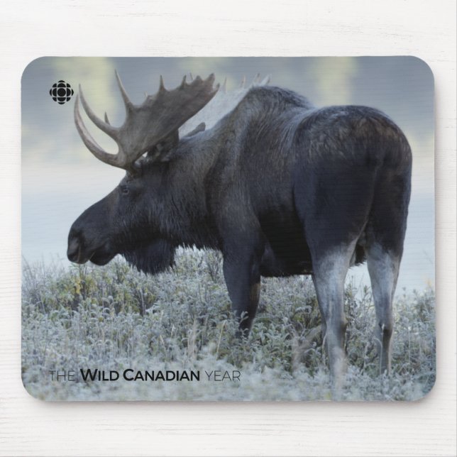 Fall - Moose Mouse Pad (Front)
