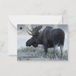 Fall - Moose Note Card