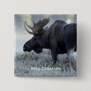 Fall - Moose Pinback Button