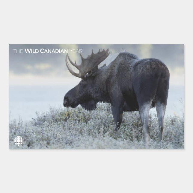 Fall - Moose Rectangular Sticker (Front)