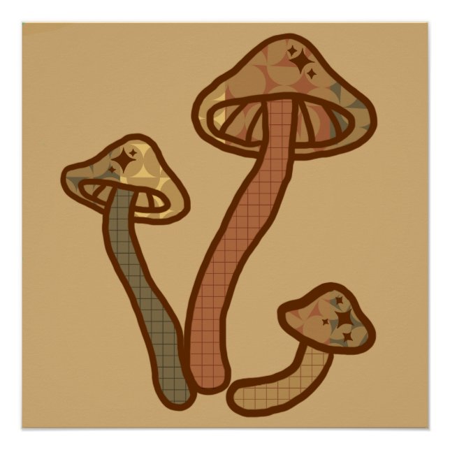 Fall Mushrooms  Poster (Front)