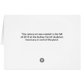 Fall nature rainbow burst cards (Back Horizontal)