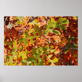 Fall Oak Tapestry Poster