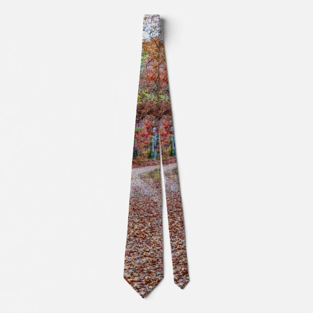 Fall On The Dirt Road Neck Tie (Front)