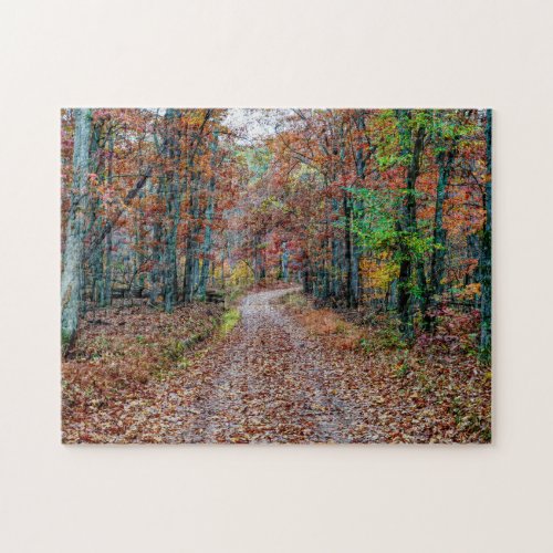 Fall On The Dirt Road new Jigsaw Puzzle