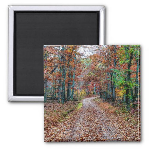 Fall On The Dirt Road new Magnet