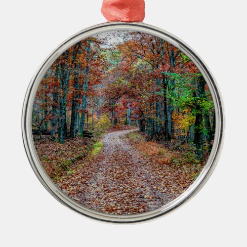 Fall On The Dirt Road new Metal Ornament