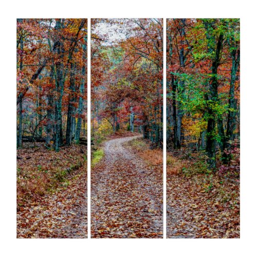 Fall On The Dirt Road new Triptych