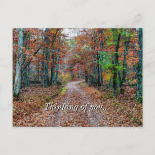 Fall On The Dirt Road Thinking Of You Postcard