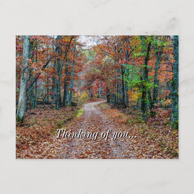 Fall On The Dirt Road Thinking Of You Postcard (Front)