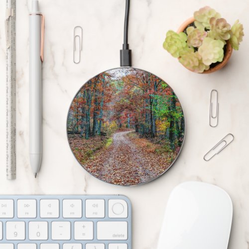 Fall On The Dirt Road Wireless Charger