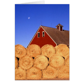 Fall on the Farm Cards