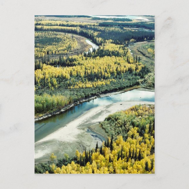 Fall on the Yukon Flats National Wildlife Refuge Postcard (Front)