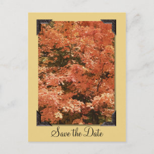 Fall Orange Leaves Wedding Save the Date Announcement Postcard