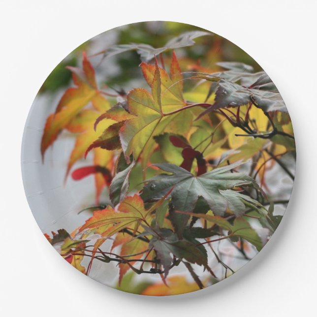 Fall Paper Plates (Front)