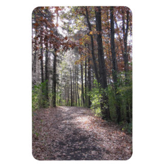 Fall path magnet