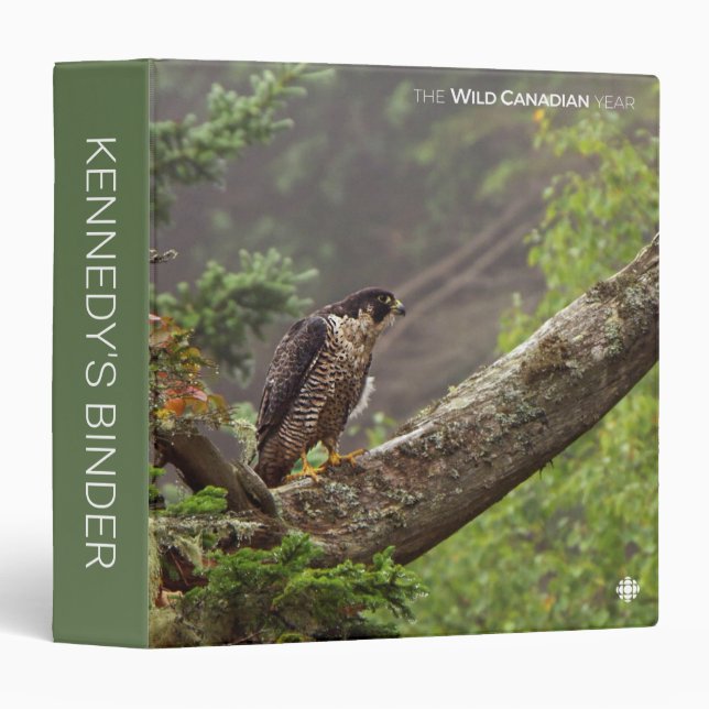 Fall - Peregrine Falcon 3 Ring Binder (Front/Spine)